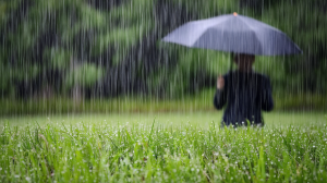 jardin-verdoyant-pluie-silhouette-parapluie