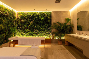 Verdir son intérieur : quand la nature s'invite dans nos espaces