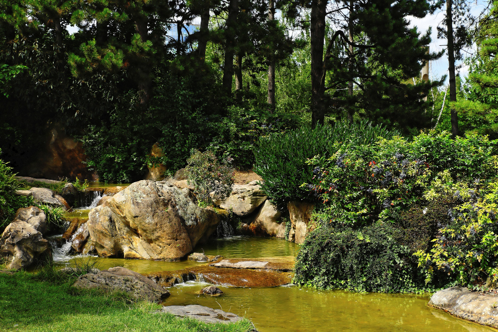 Créer un jardin écologique : cadre légal, sol vivant et pratiques d'entretien